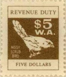 Noisy Scrub Bird