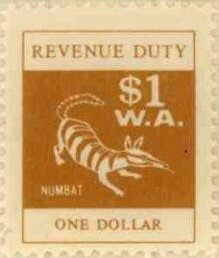 Numbat