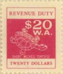 Short Necked Tortoise