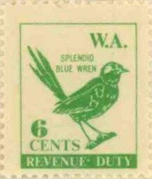 Splendid Blue Wren