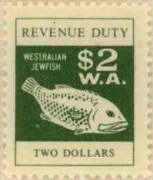 Westralian Jewfish