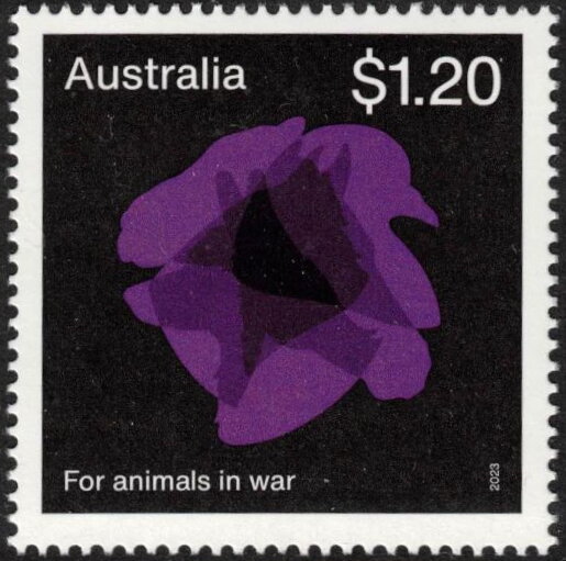 Purple Poppy