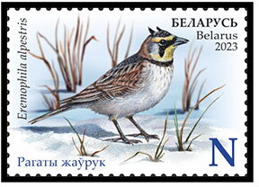 Horned Lark (Eremophila alpestris)