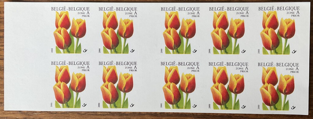 Booklet Tulip Triomf "Kees Nelis" Selfadhesive