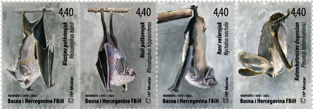 Bats of Bosnia