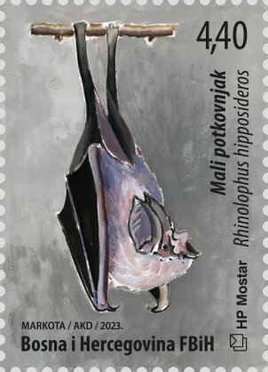 Common Noctule (Nyctalus noctula)