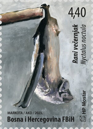 Lesser Horseshoe Bat (Rhinolophus hipposideros)
