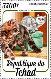 Stamp, Exotic Shorthair, Chad,  , Animals (Fauna), Cats, Mammals