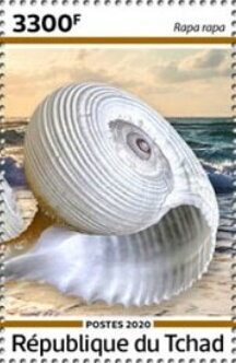 Stamp, Rapa rapa, Chad,  , Animals (Fauna), Molluscs, Sea Life, Shells