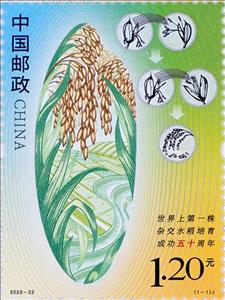 Stamp, First High-Yield Hybrid Rice Harvest, 50 Yesrs, China, People's Republic,  , Agriculture