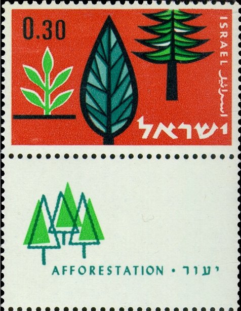 Afforestation - symbolic trees