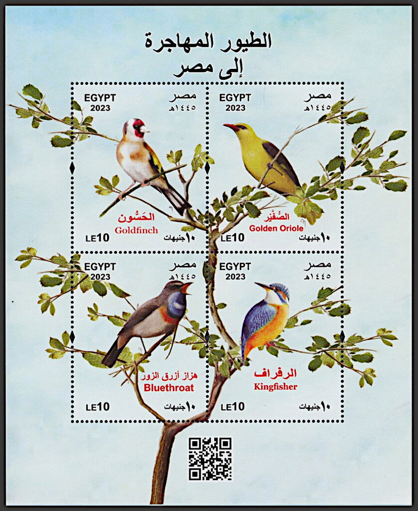 Migratory Birds of Egypt