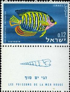 Stamp, Royal Angelfish (Holocanthus imperator), Israel,  , Animals (Fauna), Fishes