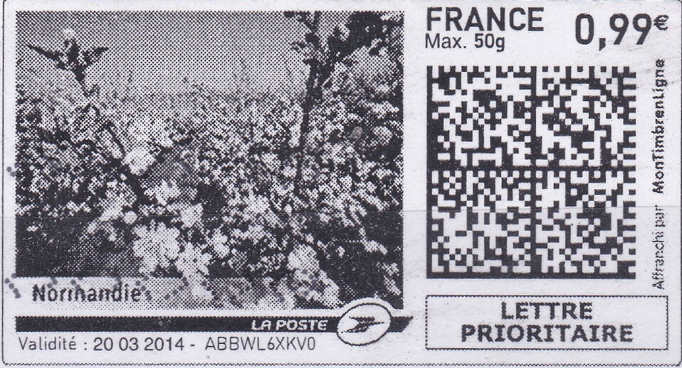 Apple Blossom in Normandy / Normandie in black