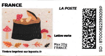 Autumn. Tree Stump and Mushrooms. Redesign no laposte logo