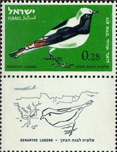 Stamp, Mourning Wheatear (Oenanthe lugens), Israel,  , Birds, Animals (Fauna)
