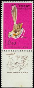 Stamp, Graceful Prinia (Prinia gracilis) , Israel,  , Birds, Animals (Fauna)