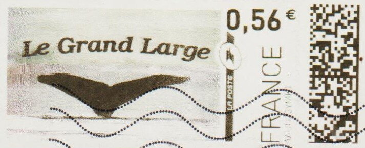 Le Grand Large. Whale Fin