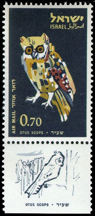 Eurasian Scops Owl (Otus scops)