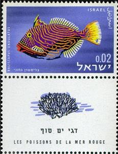 Stamp, Orange-lined Triggerfish (Balistapus undulatus), Israel,  , Animals (Fauna), Fishes