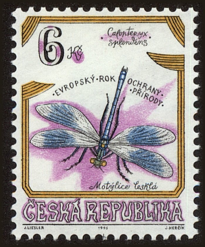 Banded Demoiselle (Calopteryx splendens)