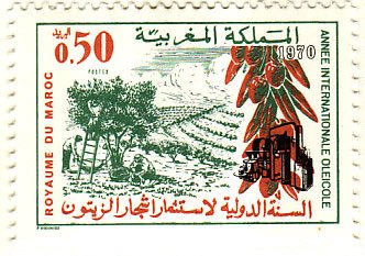 Olive International Year