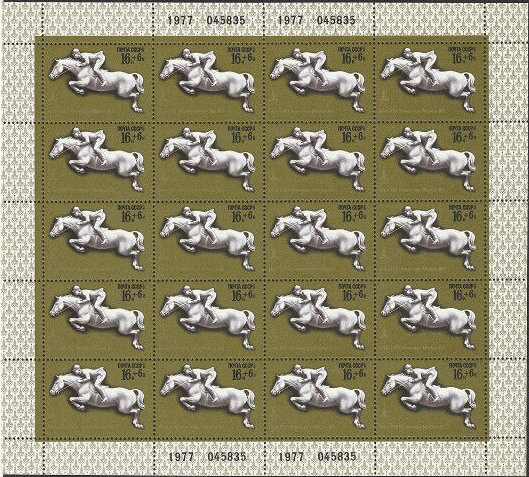 Show Jumping