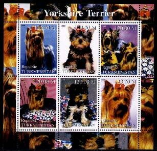 Dogs