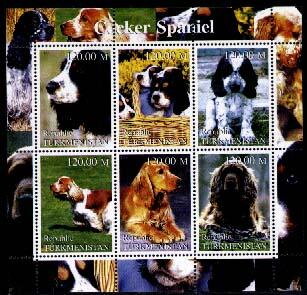 Dogs