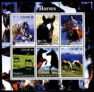Horses