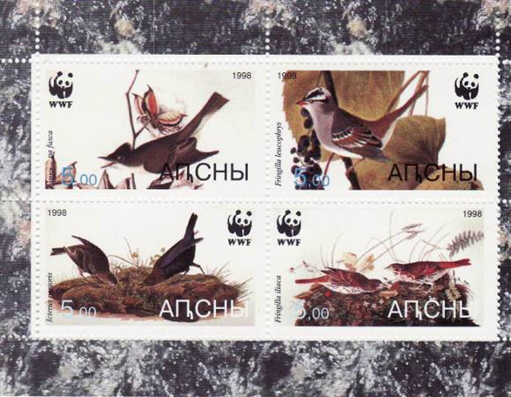 Birds