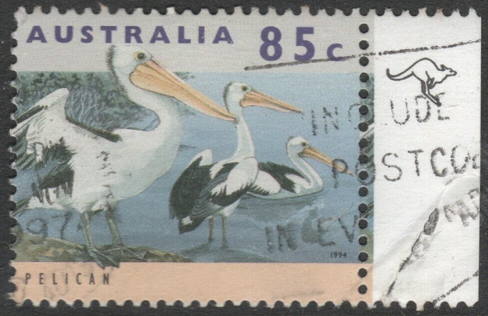 Australian Pelican - 5th Reprint - 1 kangaroo