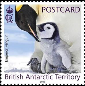 Stamp, Emperor Penguin (Aptenodytes forsteri), British Antarctic Territory (BAT),  , Penguins