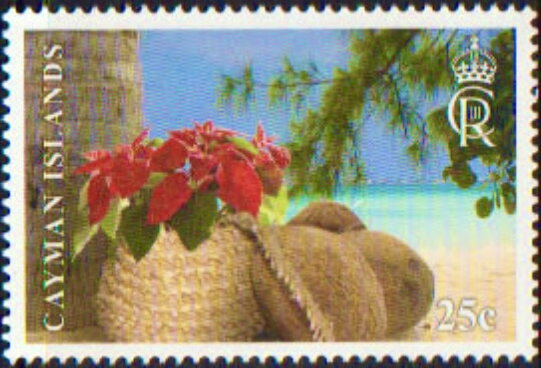 Poinsettias in Thatch Basket