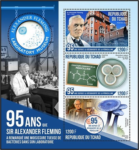 95th Anniversary of the Discovery of Penicillin
