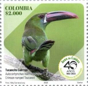 Crimson-Rumped Toucanet (Aulacorhynchus haematopygus)