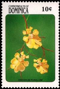 Stamp, Oncidium Pusillum, Dominica,  , Flowers, Orchids, Plants (Flora)