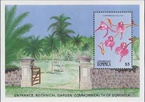 Souvenir Sheet, Comparettia Falcata, Dominica,  , Flowers, Orchids, Plants (Flora)