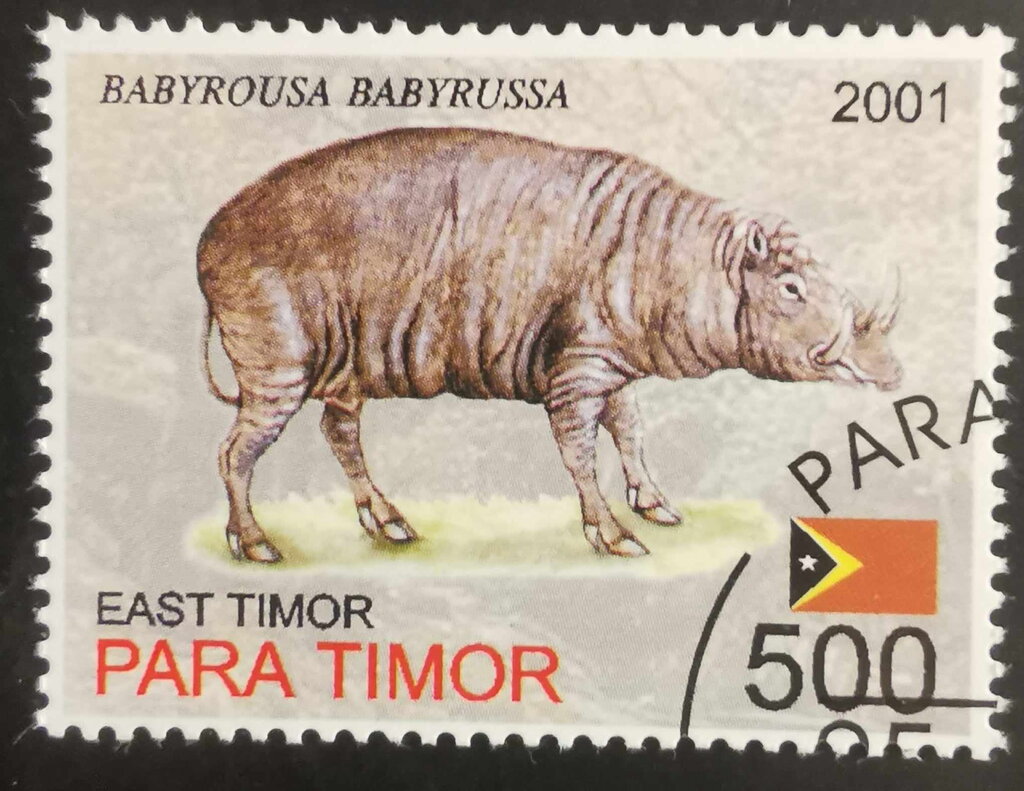 Babyrousa Babyrussa