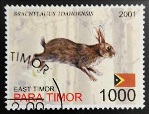 Stamp, Brachylagus Idahoensis, East Timor,  , Animals (Fauna), Rabbits