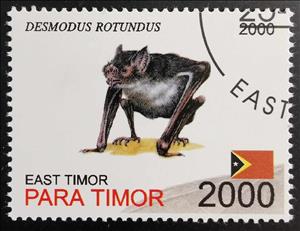 Stamp, Desmodus Rotundus, East Timor,  , Animals (Fauna), Bats