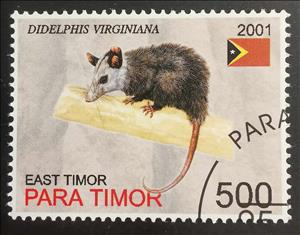 Stamp, Didelphis Virginiana, East Timor,  