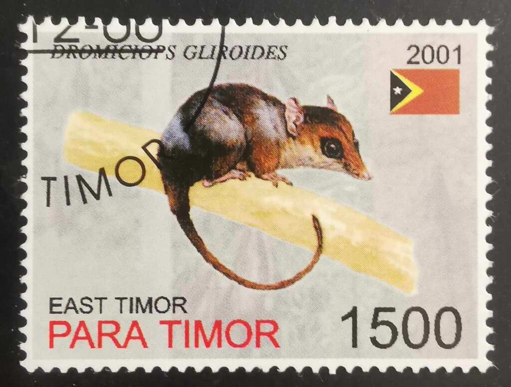Dromiciops Gliroides