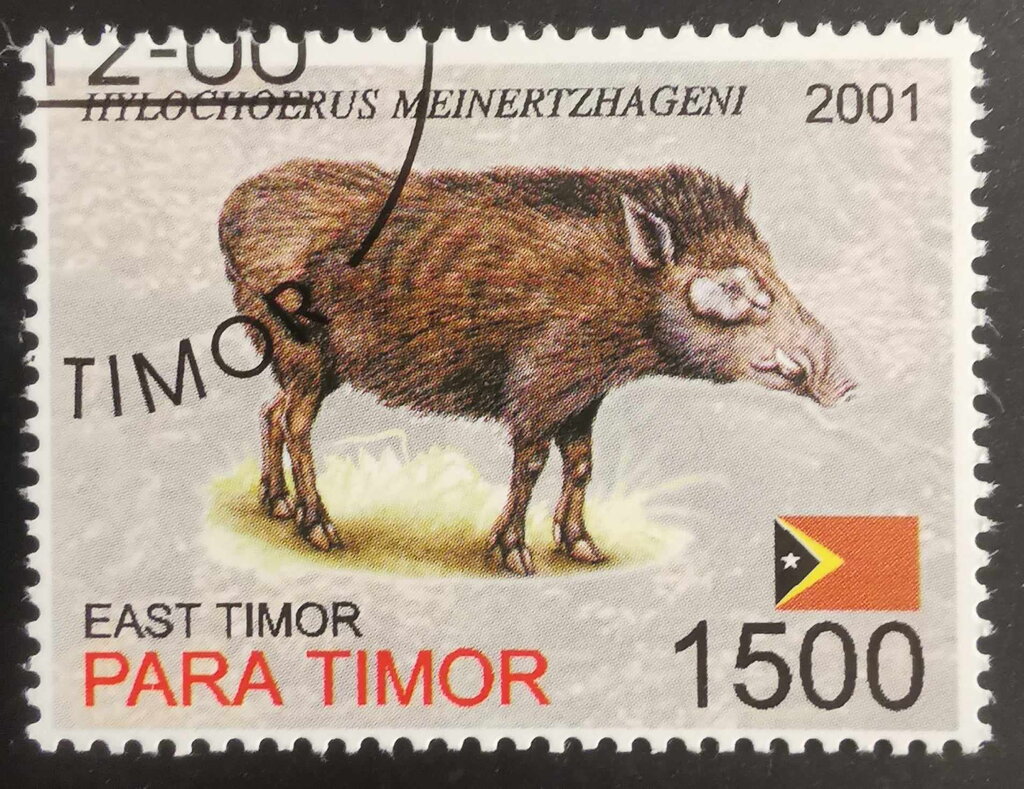Hylochoerus Meinertzhageni