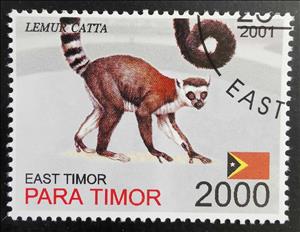 Stamp, Lemur Catta, East Timor,  , Animals (Fauna), Rodents