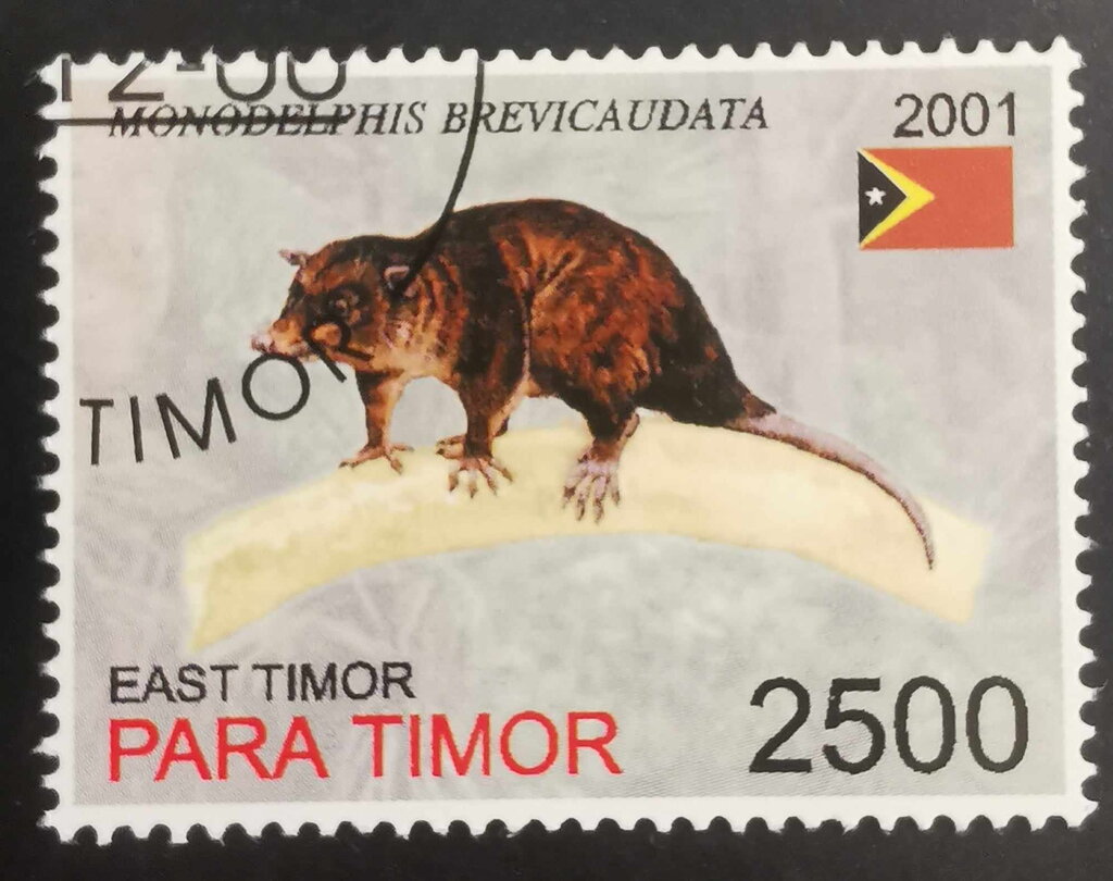 Monodelphis Brevicaudata