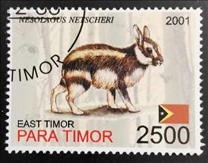 Stamp, Nesolagus Netscheri, East Timor,  , Animals (Fauna), Rabbits