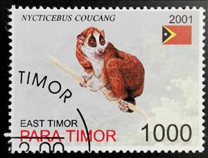 Stamp, Nycticebus Coucang, East Timor,  , Animals (Fauna), Rodents