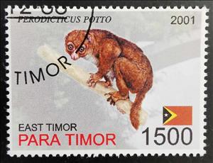 Stamp, Perodicticus Potto, East Timor,  , Animals (Fauna), Rodents