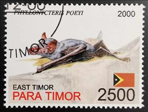 Stamp, Phyllonycteris Poeyi, East Timor,  , Animals (Fauna), Bats
